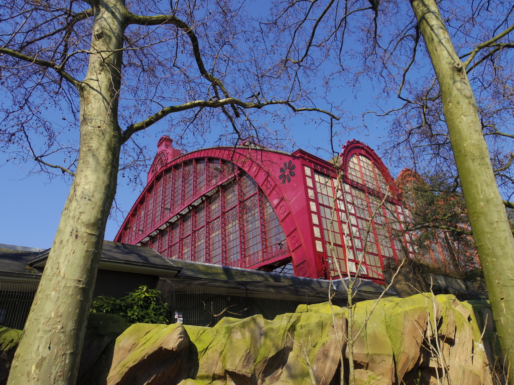 f:id:cenecio:20160410171132j:plain