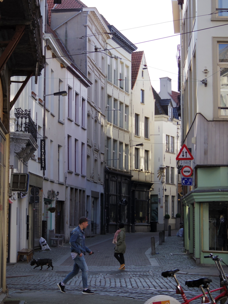 f:id:cenecio:20160411081051j:plain