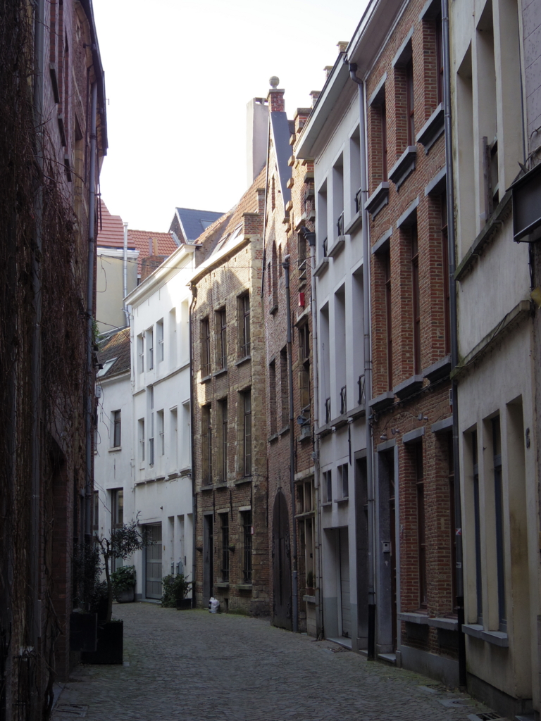 f:id:cenecio:20160411081122j:plain