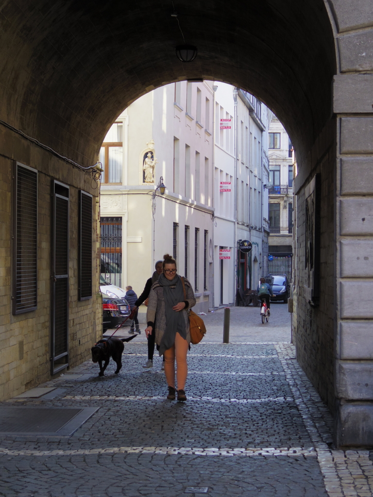 f:id:cenecio:20160411081147j:plain