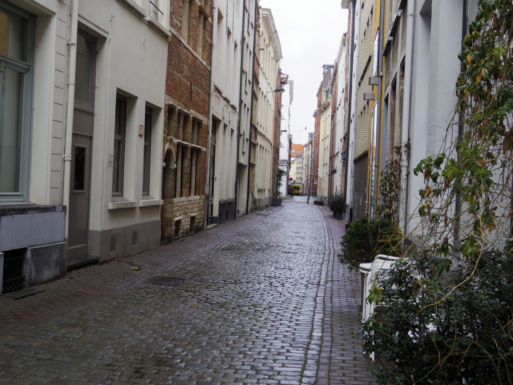 f:id:cenecio:20160411081904j:plain