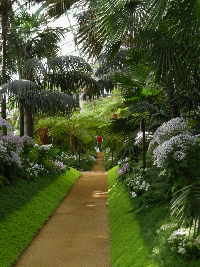 f:id:cenecio:20160512095551j:plain f:id:cenecio:20160512095551j:plain