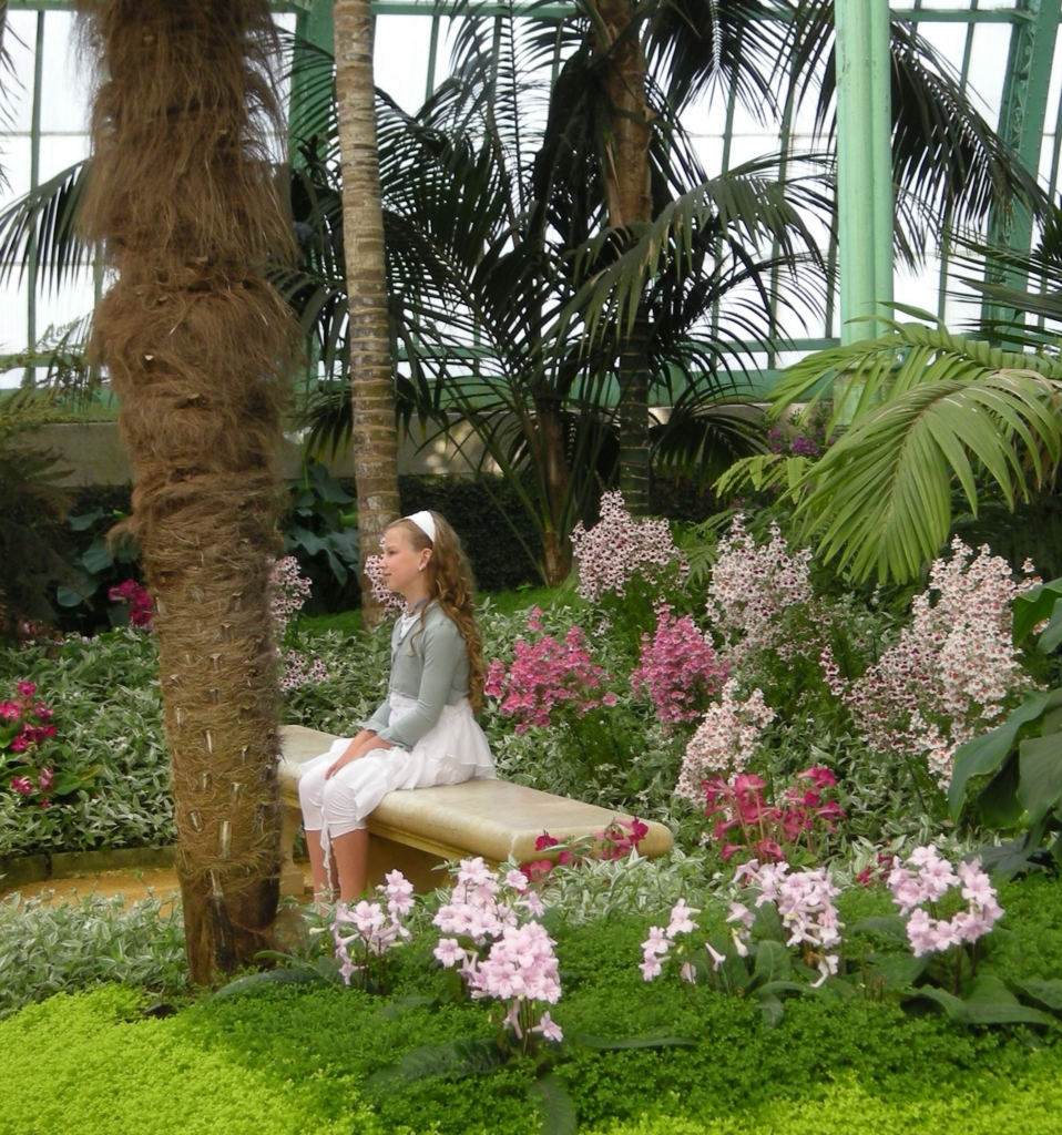 f:id:cenecio:20160512100226j:plain f:id:cenecio:20160512100226j:plain