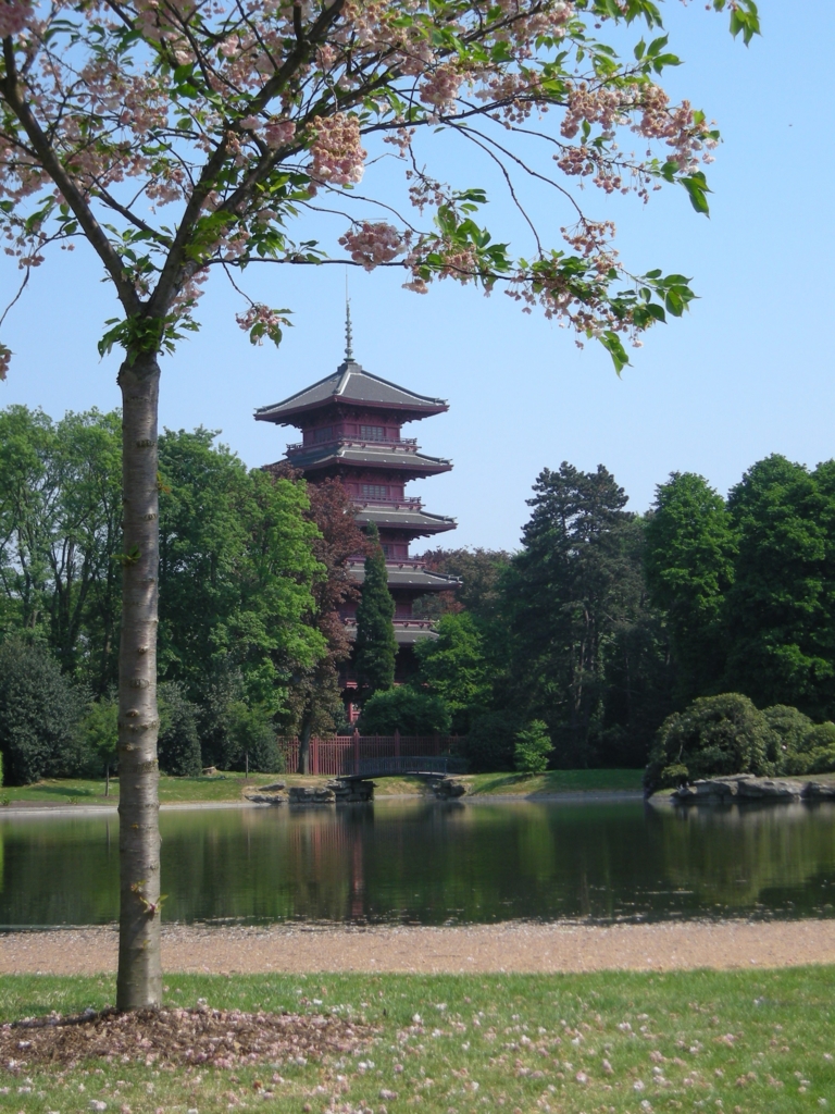 f:id:cenecio:20160512103310j:plain f:id:cenecio:20160512103310j:plain