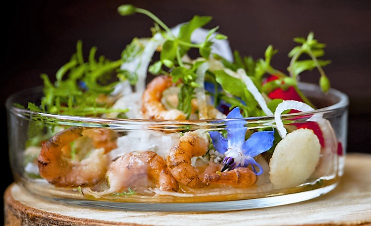 f:id:cenecio:20160526171801j:plain