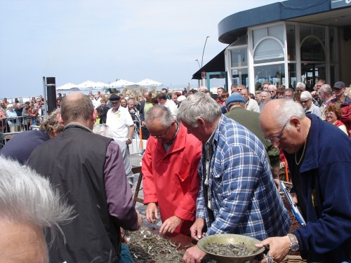 f:id:cenecio:20160527063047p:plain