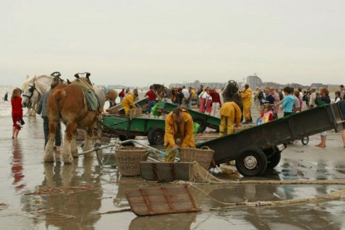 f:id:cenecio:20160527063235p:plain