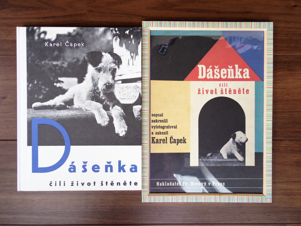 f:id:cenecio:20160530132015j:plain f:id:cenecio:20160530132015j:plain