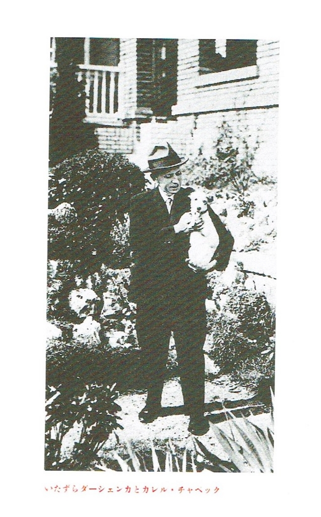 f:id:cenecio:20160530143535j:plain f:id:cenecio:20160530143535j:plain