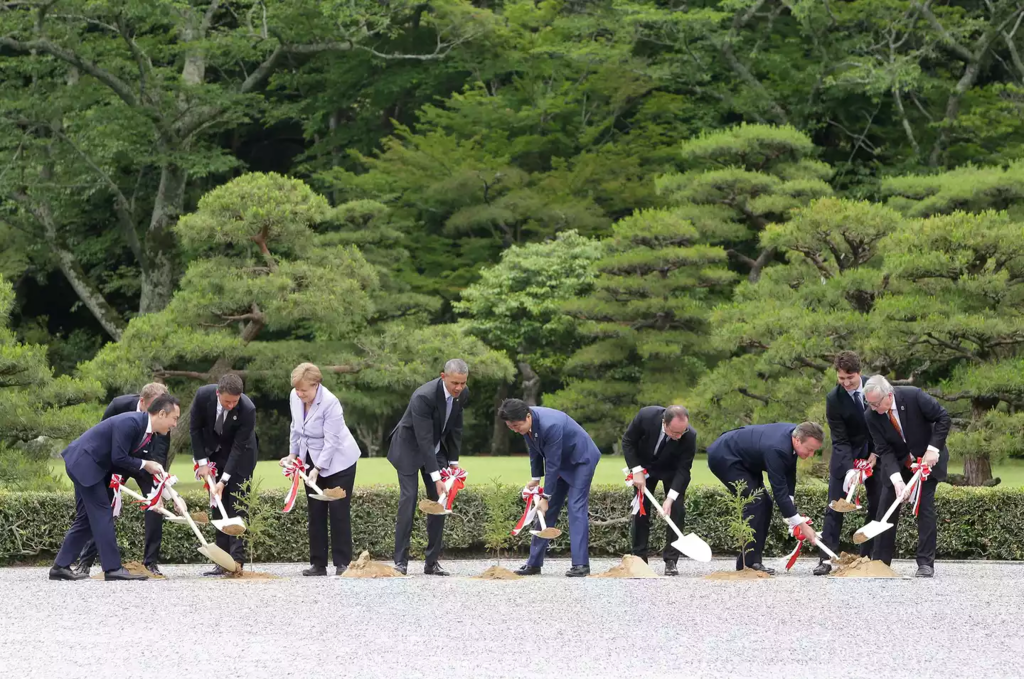 f:id:cenecio:20160531144618p:plain