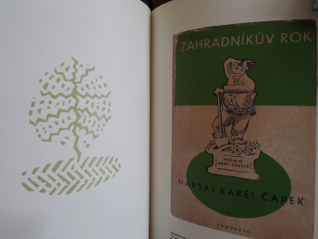 f:id:cenecio:20160601112507j:plain f:id:cenecio:20160601112507j:plain