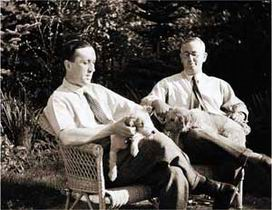 f:id:cenecio:20160602090836p:plain f:id:cenecio:20160602090836p:plain