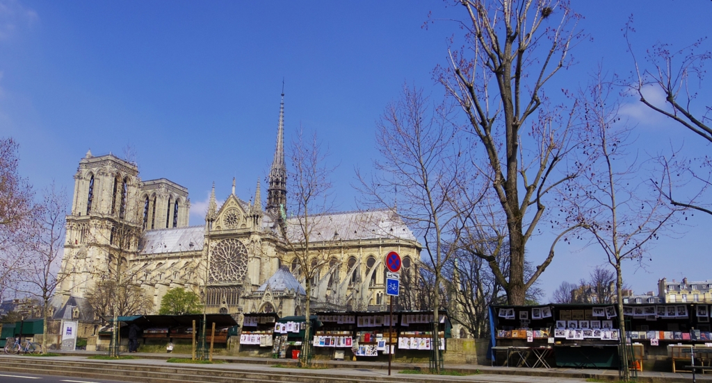 f:id:cenecio:20160605125855j:plain