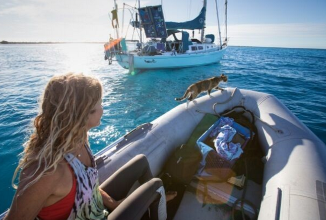 f:id:cenecio:20160622162637p:plain