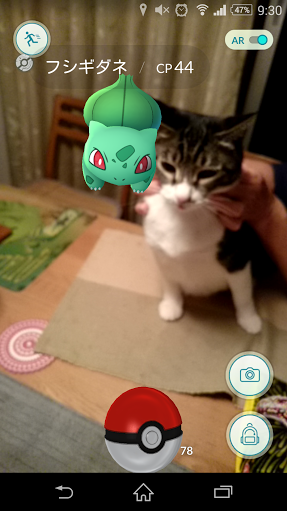 f:id:cenecio:20160724145230p:plain