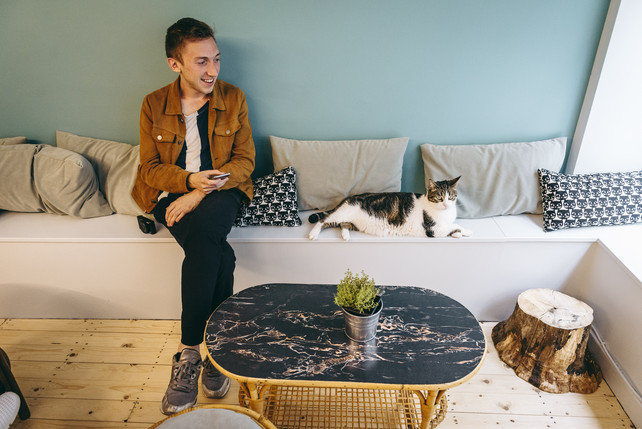 f:id:cenecio:20160731142926j:plain