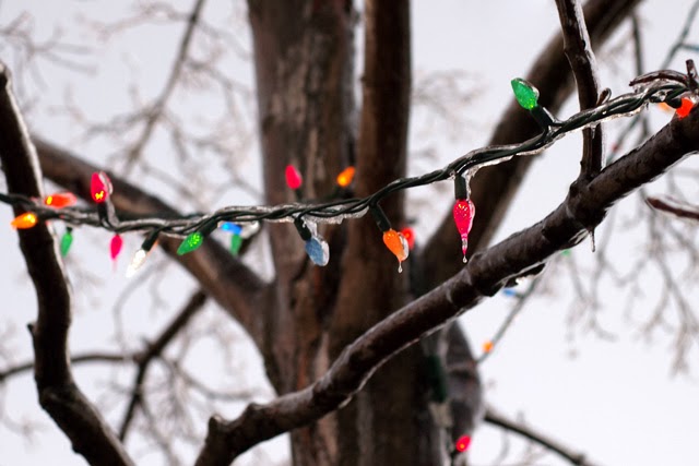 f:id:cenecio:20161216162931j:plain