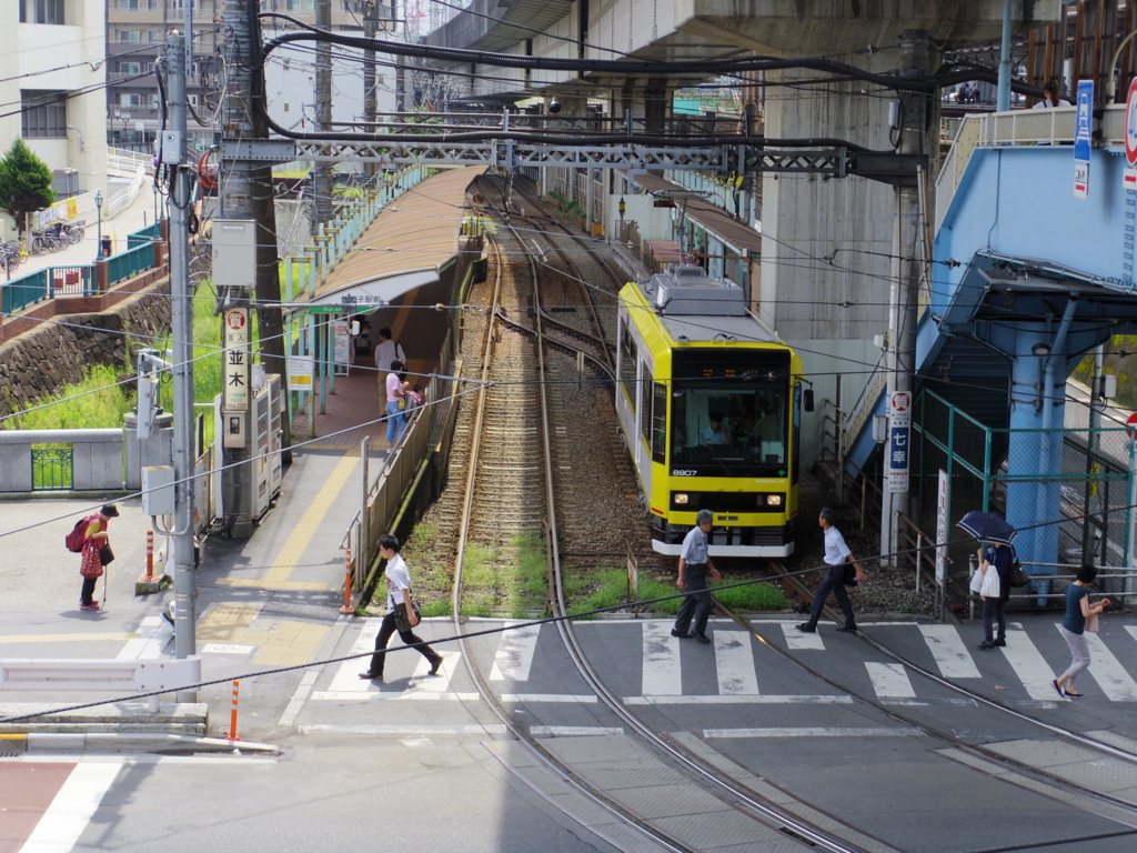 f:id:cenecio:20170221111541j:plain f:id:cenecio:20170221111541j:plain