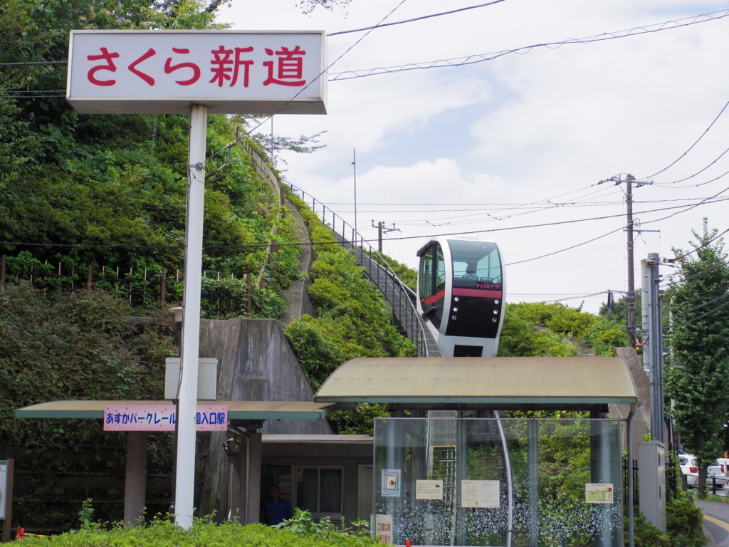 f:id:cenecio:20170221111904j:plain f:id:cenecio:20170221111904j:plain