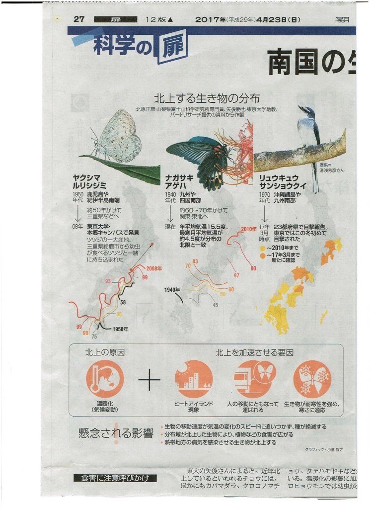 f:id:cenecio:20170501155828j:plain