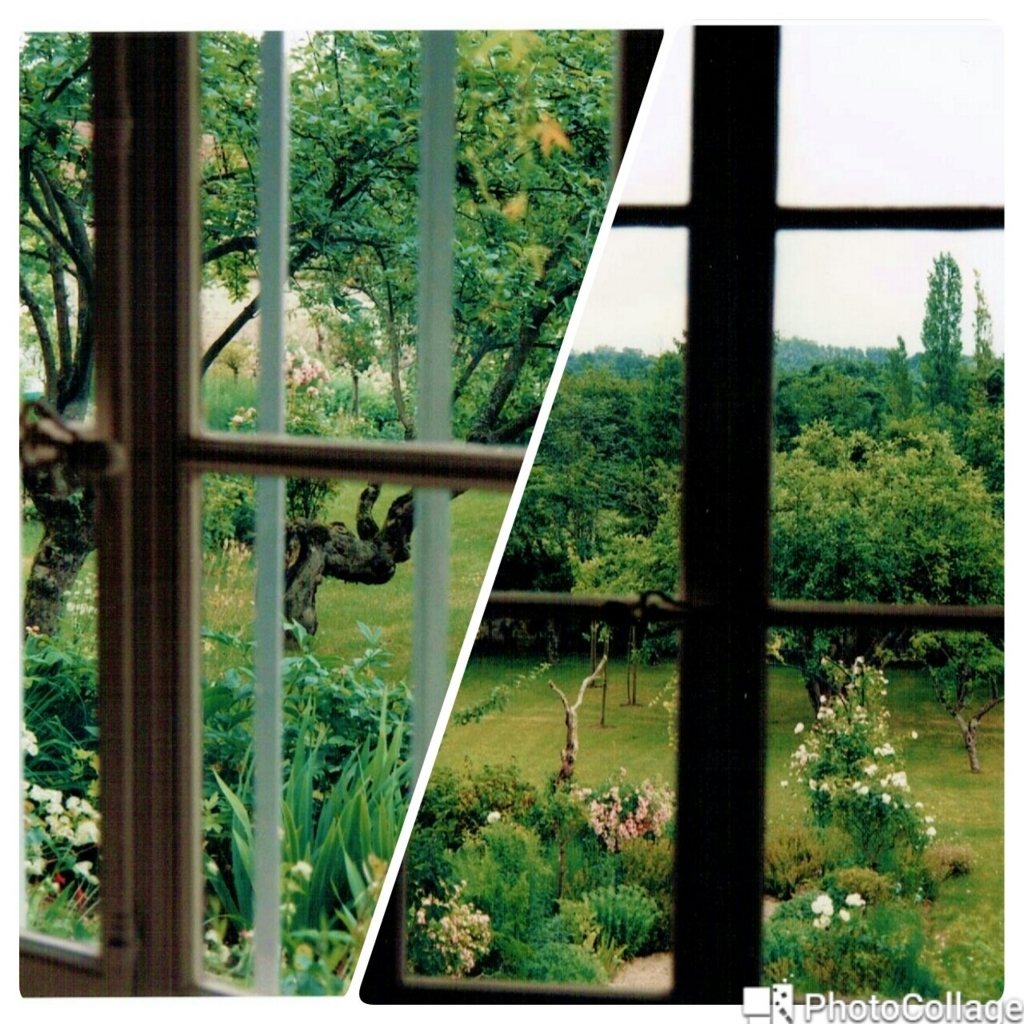 f:id:cenecio:20170720111703j:plain