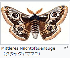 f:id:cenecio:20170802155248p:plain