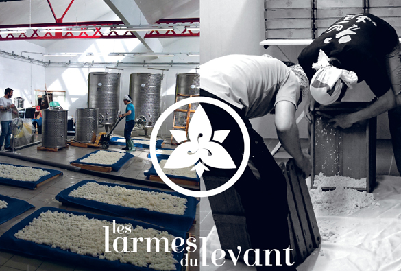 f:id:cenecio:20171221174050p:plain