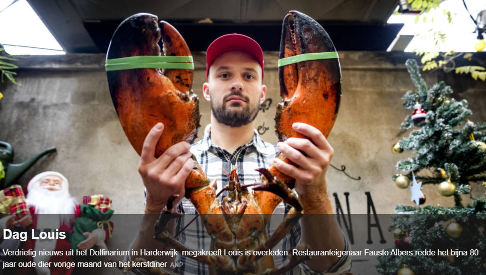 f:id:cenecio:20180111151318p:plain