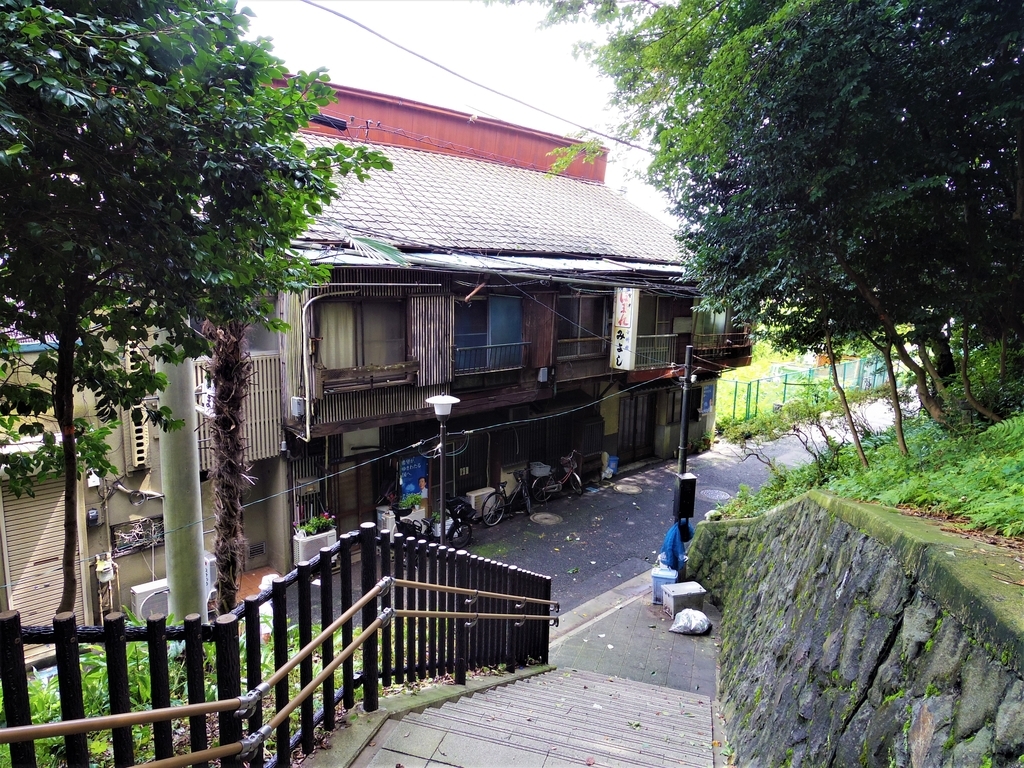 f:id:cenecio:20181010185639j:plain f:id:cenecio:20181010185639j:plain