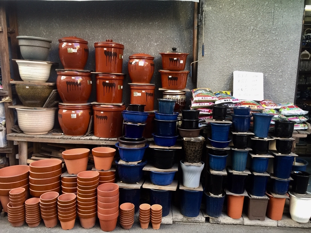 f:id:cenecio:20181028111546j:plain