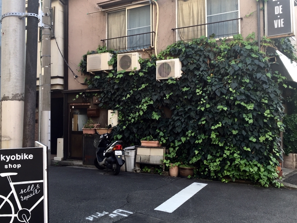 f:id:cenecio:20181028111552j:plain