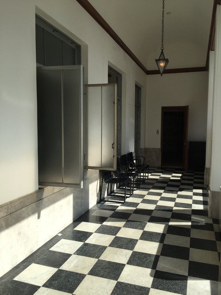 f:id:cenecio:20190210113615j:plain f:id:cenecio:20190210113615j:plain