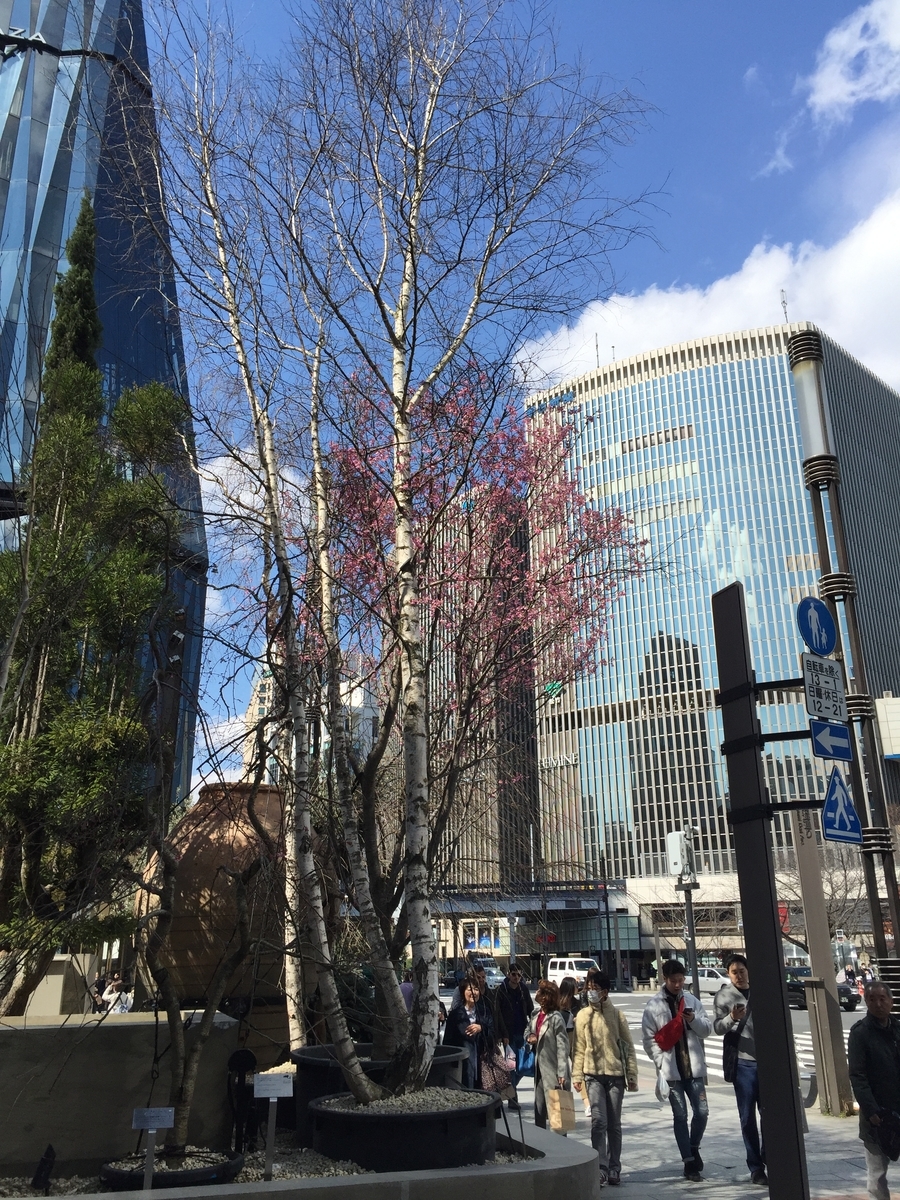 f:id:cenecio:20190407105945j:plain f:id:cenecio:20190407105945j:plain