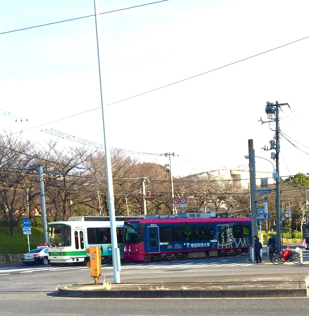 f:id:cenecio:20190407111712j:plain f:id:cenecio:20190407111712j:plain