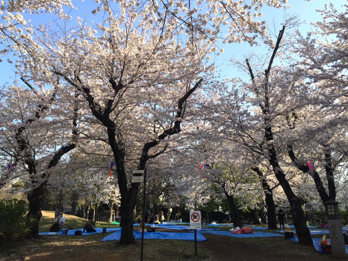 f:id:cenecio:20190407120600j:plain f:id:cenecio:20190407120600j:plain