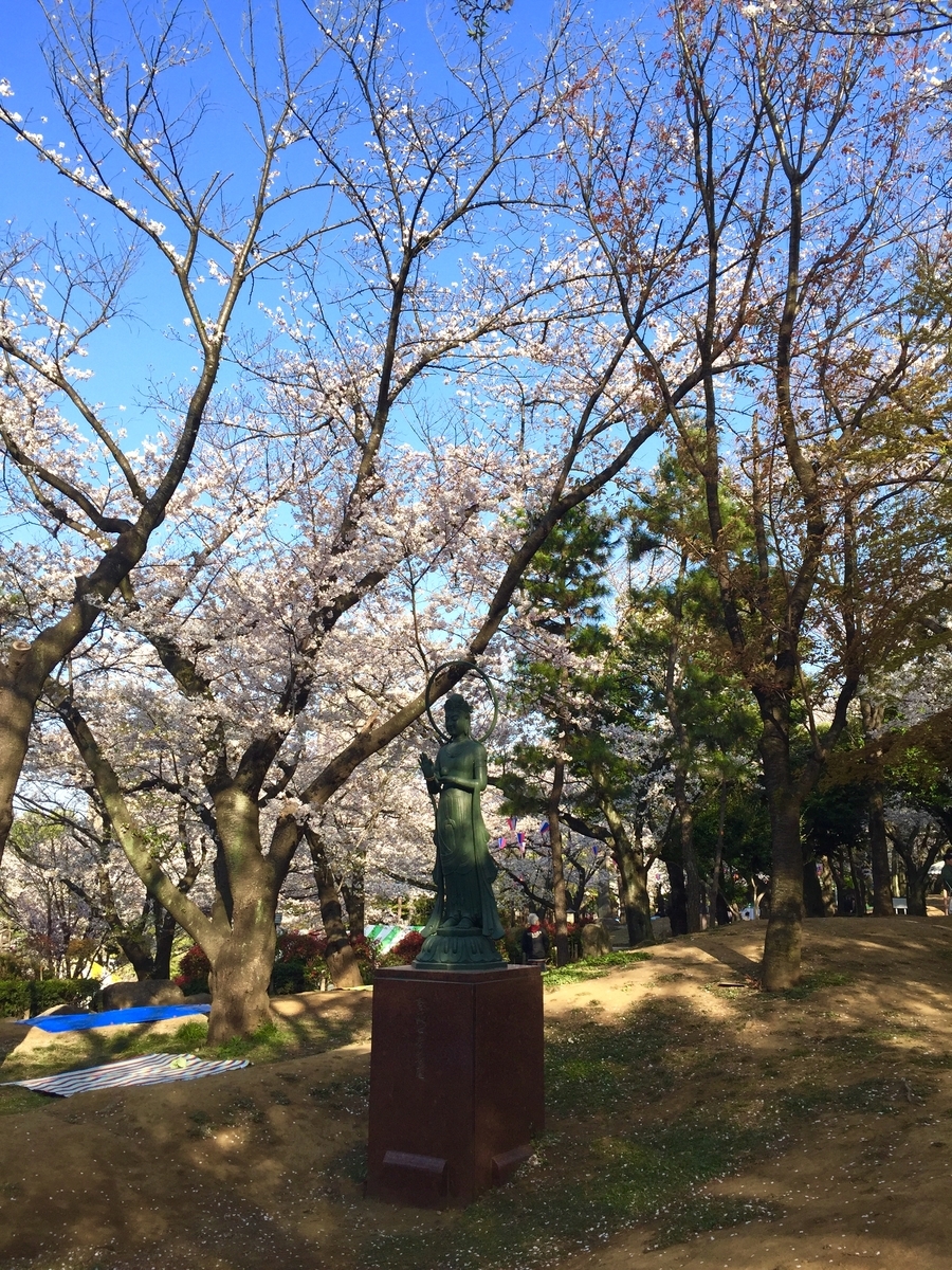 f:id:cenecio:20190407120629j:plain f:id:cenecio:20190407120629j:plain