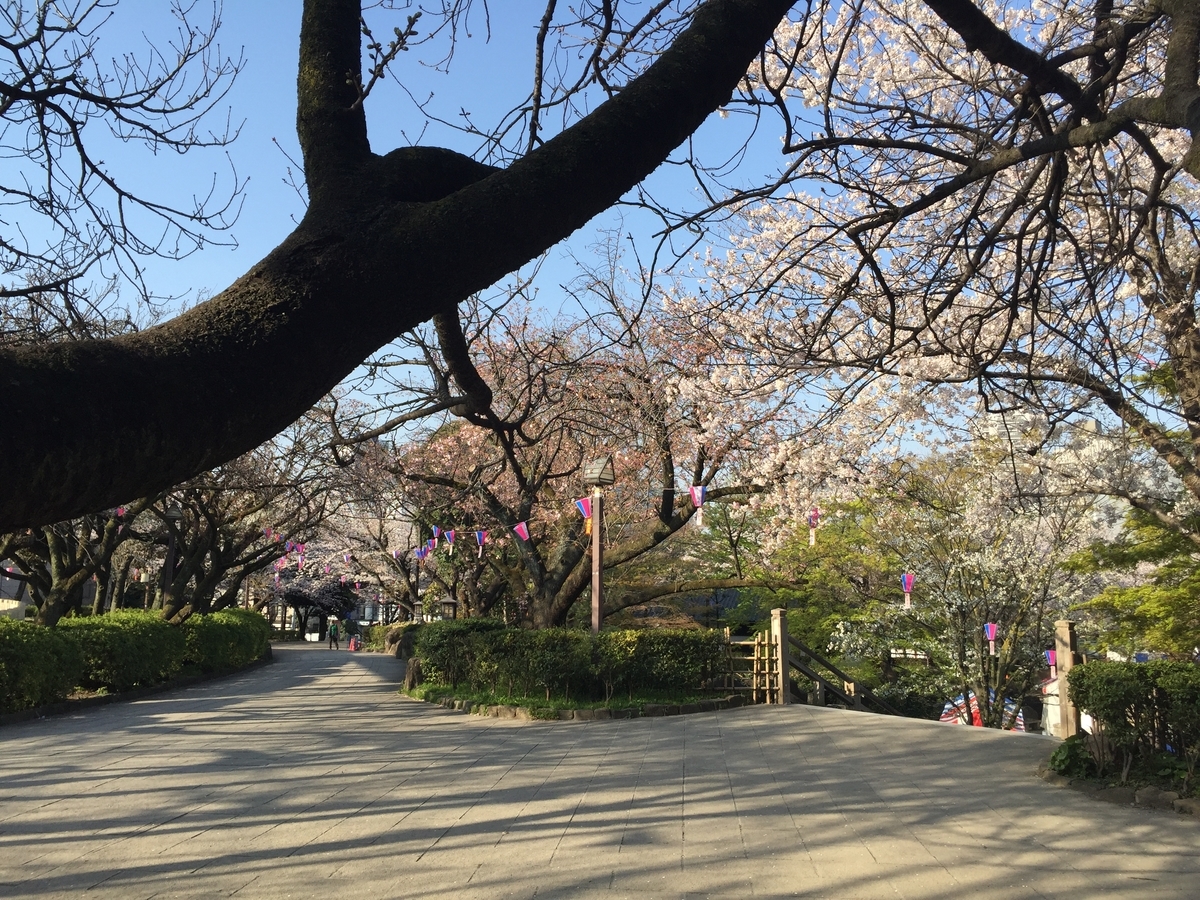 f:id:cenecio:20190407120708j:plain f:id:cenecio:20190407120708j:plain