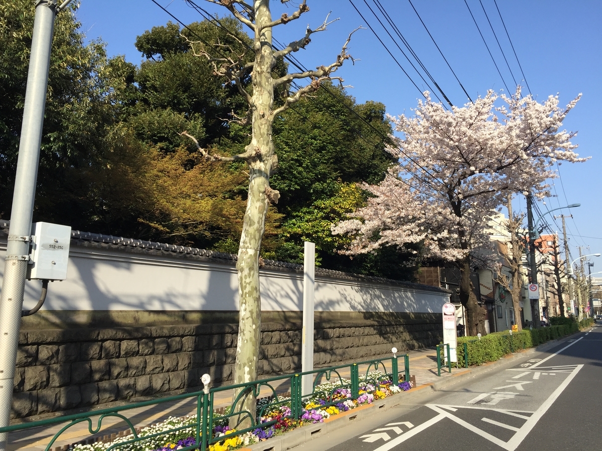 f:id:cenecio:20190407120716j:plain f:id:cenecio:20190407120716j:plain