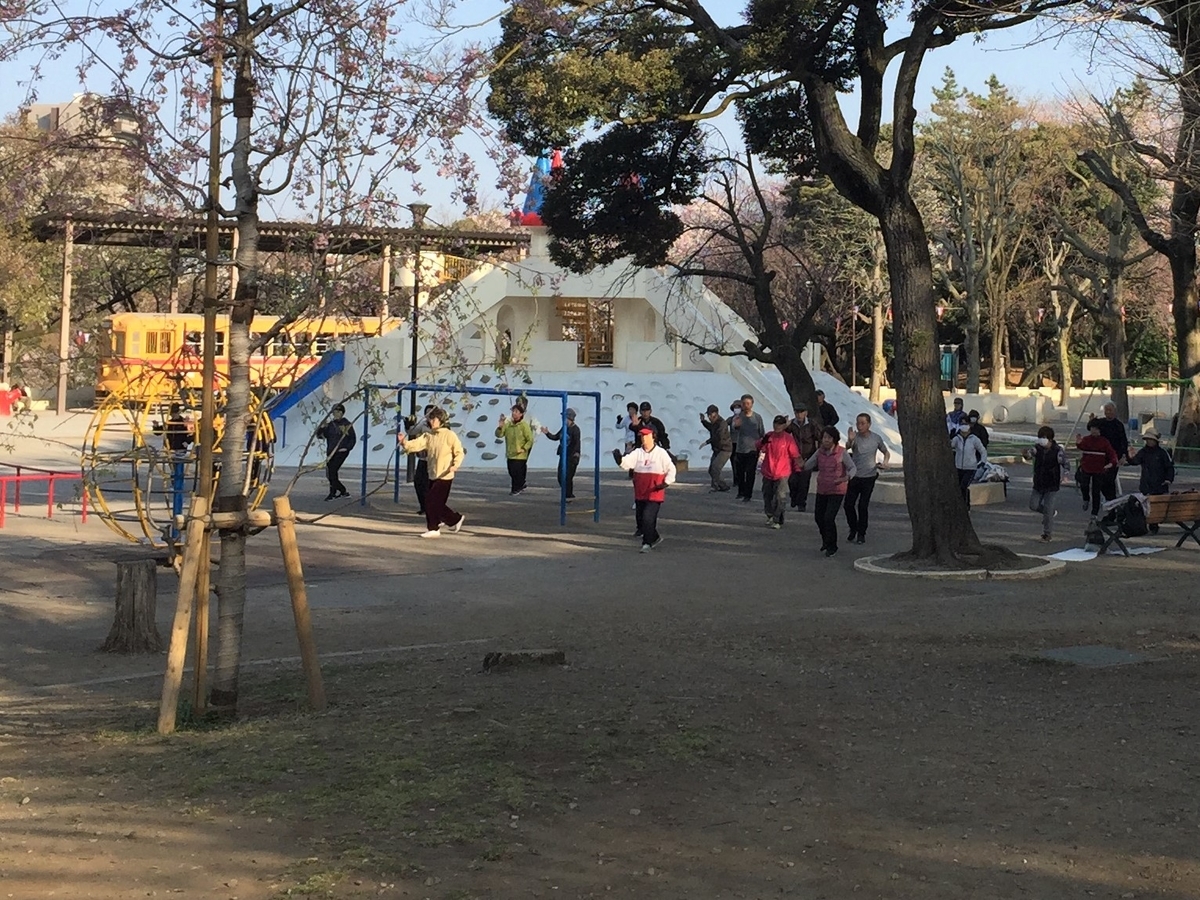 f:id:cenecio:20190407120934j:plain f:id:cenecio:20190407120934j:plain