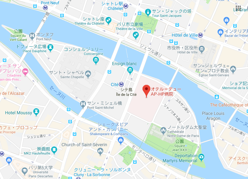 ノートルダム大聖堂の火災と 復元 の問題 ベルギーの密かな愉しみ