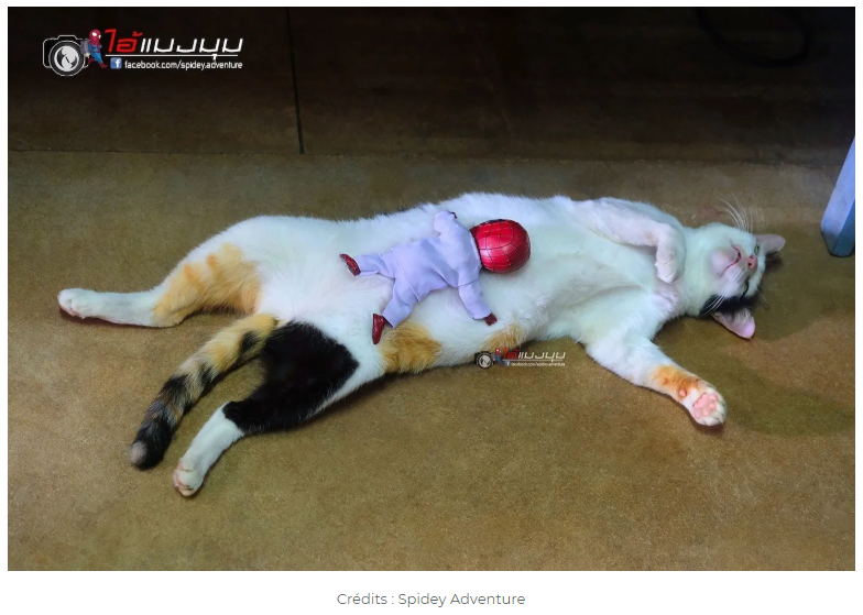 f:id:cenecio:20191125181840p:plain