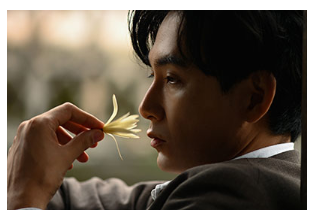 f:id:cenecio:20191228164302p:plain