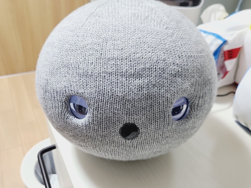 コミュニケーションロボット「ニコボ」の可愛いふるまい完全ガイド