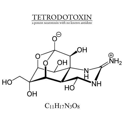 f:id:centeroftheearth:20180111191222p:plain f:id:centeroftheearth:20180111191222p:plain