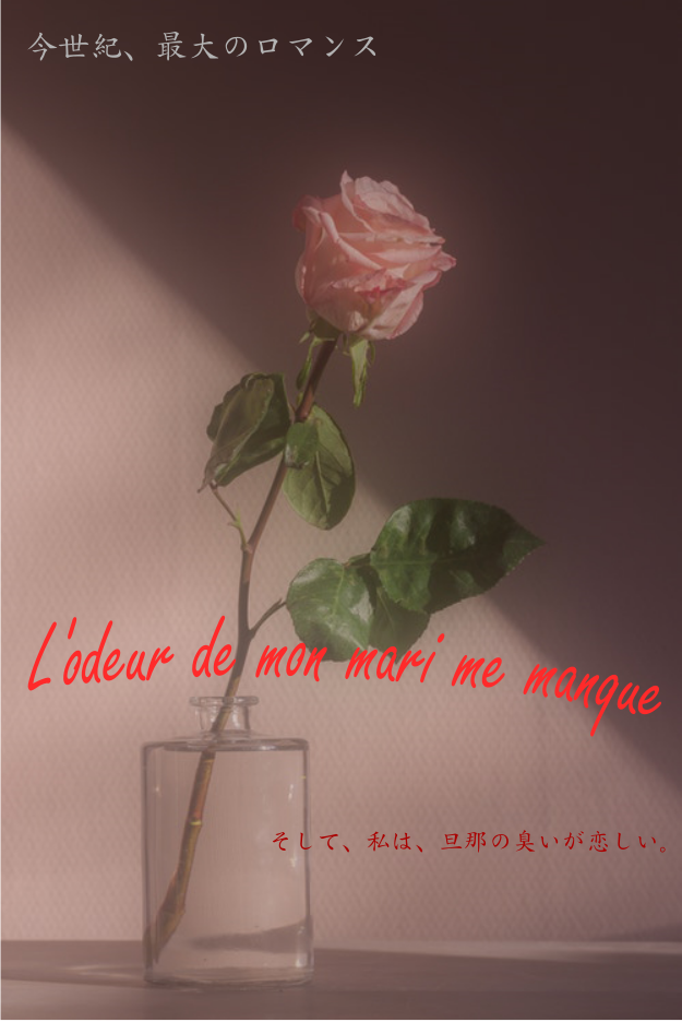 f:id:centeroftheearth:20190105134015p:plain f:id:centeroftheearth:20190105134015p:plain