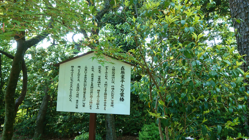 イメージ 17