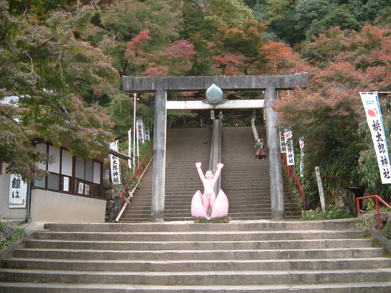 イメージ 3