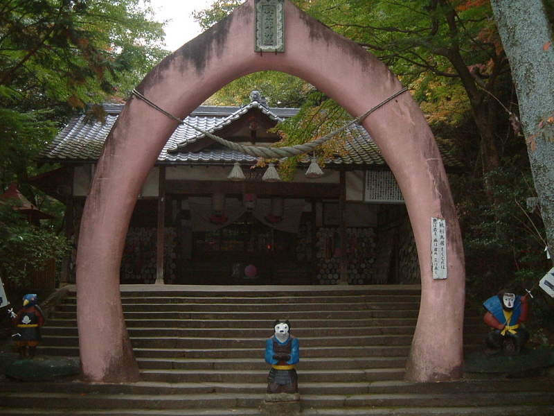 イメージ 5