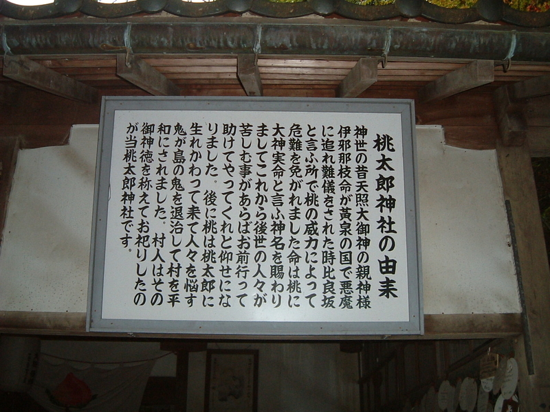 イメージ 6