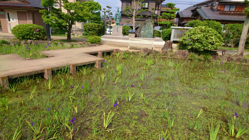 イメージ 6